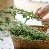 Women’s Secret #4 – VAGINAL STEAMING. Fertility & Menstrual Bio-Hacking